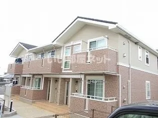 マンダリーナの画像