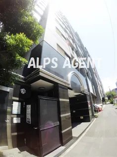 グリフィン横浜 ベイブリーズの画像