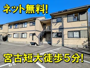 ハミングバードレトアの画像