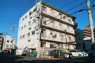 グリーンマンションの画像