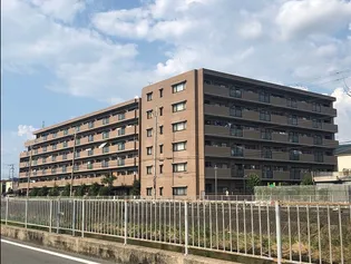 レックス八尾山本の画像