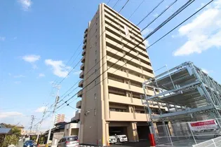 コスモ13の画像