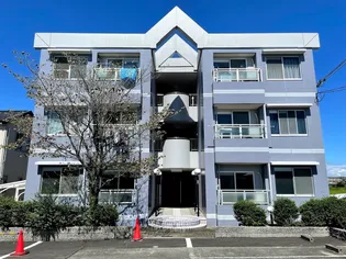 チェリー広野の画像