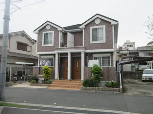 シード リーフの画像