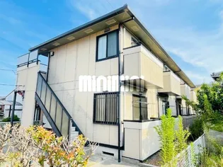 パインフィールドの画像