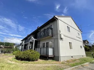 フレグランスひまわりの画像