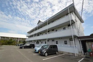 広島県東広島市西条町田口【マンション】の外観