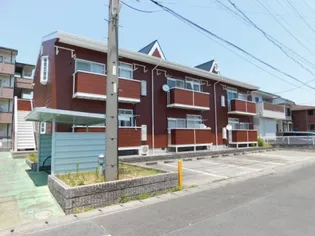 カームスズキの画像