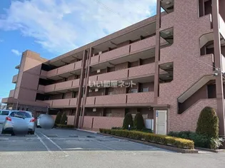 TKエレガンテの画像