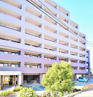 グリチーネの画像