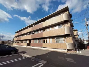 CORAL REEF Mの画像