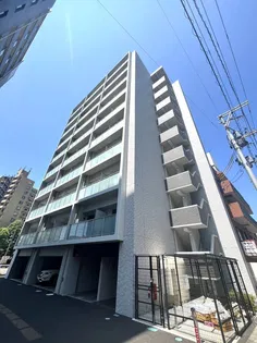 YS HILLSの画像