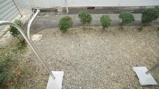 ロフト・カトー【1階】の内装