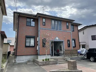 アルファーコートの画像