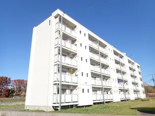 ビレッジハウス泉野2号棟の画像