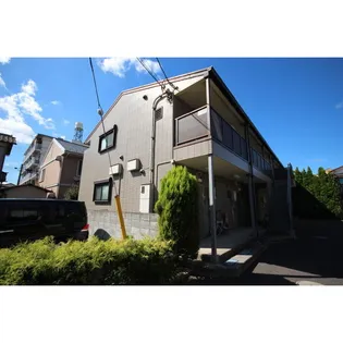 コスモ ソフィの画像