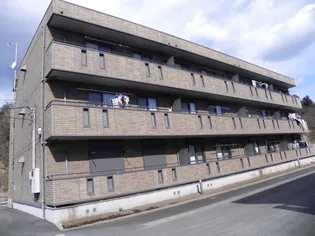 グレースヒルズII【3階】の外観