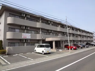 MSKコート【2階】の外観