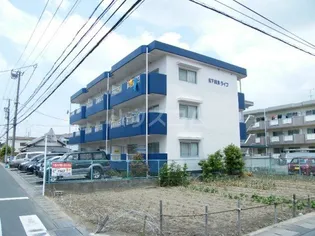 松下細島ライフの画像