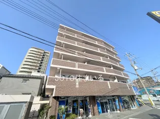 ロリオンの画像