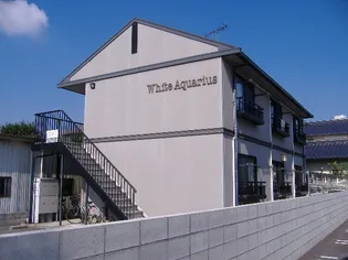 ホワイトアクエリアス【1階】の外観