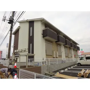 CAT COCOA Bの画像