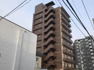 セントポーリアクレアの画像