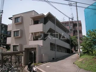 コリーヌ千里の画像