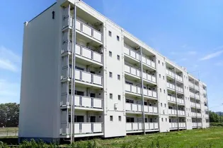 ビレッジハウス泉野4号棟【2階】の外観