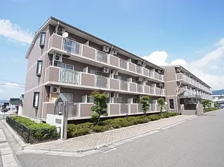 石芝イン北【1階】の外観