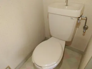 ザ・ホワイトハウスA【2階】の内装