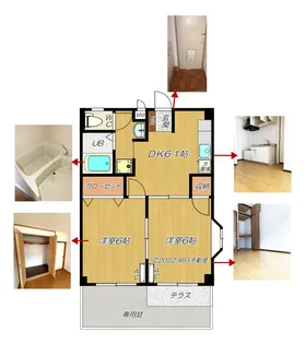 ステイタス月隈(つきくま)II棟【1階】の間取り