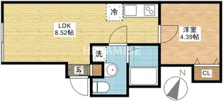 アミティ西坂【1階】の間取り