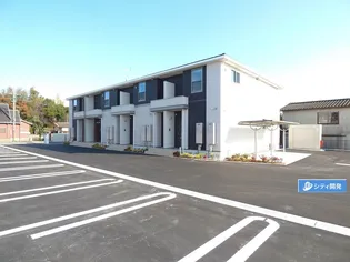 エヴァーレオ IIの画像