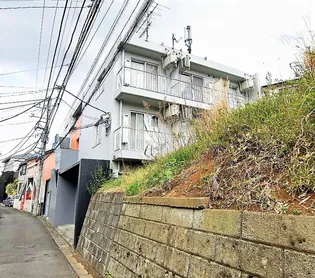 ヴォーヌング美音の画像