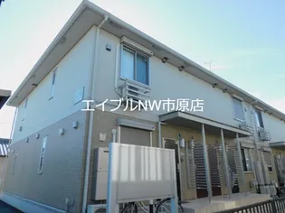 カーサマレの画像