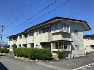 ユートピアサフラワの画像