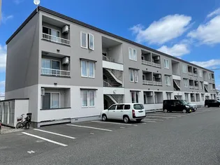 アシュトンⅡの画像