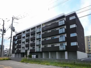 STELA POLAREの画像
