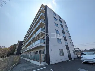 PLACIDESの画像