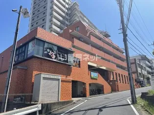 セレブリティ成田の画像