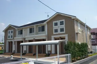 プラシードの画像