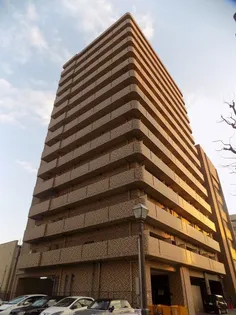 ハイツカトレヤの画像