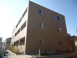 ジングレースの画像