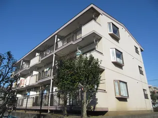 ヒルトップの画像