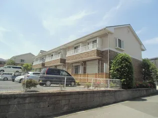 オリーブIの画像