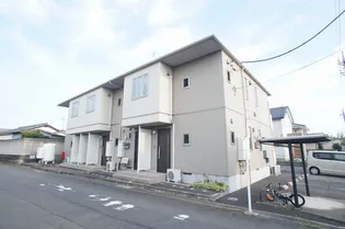 プルメリアの画像