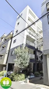 THALASSICUSの画像