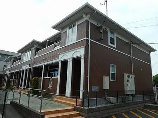 プリムローズの画像