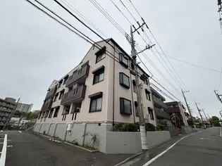 シルクトゥリーの画像